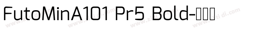 FutoMinA101 Pr5 Bold字体转换